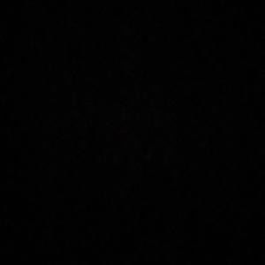 Meet your Posher, Terrell